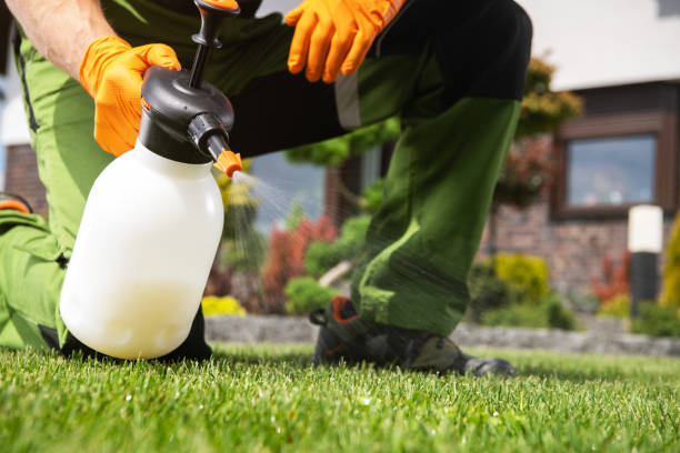 Best Seasonal Pest Control  in USA